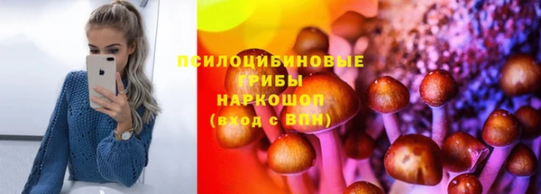индика Нефтегорск