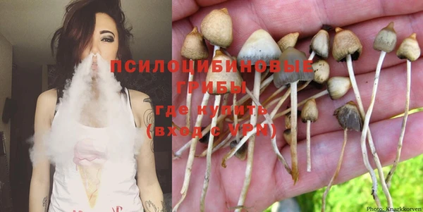 индика Нефтегорск