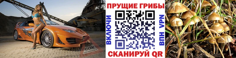 Псилоцибиновые грибы мухоморы  Луза 